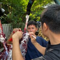 Jadikan Momen Idul Adha  sebagai Laboratorium Pembelajaran Karakter dan Kepemimpinan